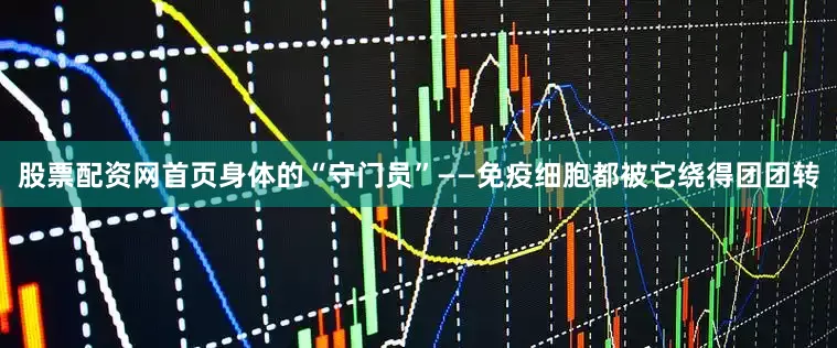 股票配资网首页身体的“守门员”——免疫细胞都被它绕得团团转