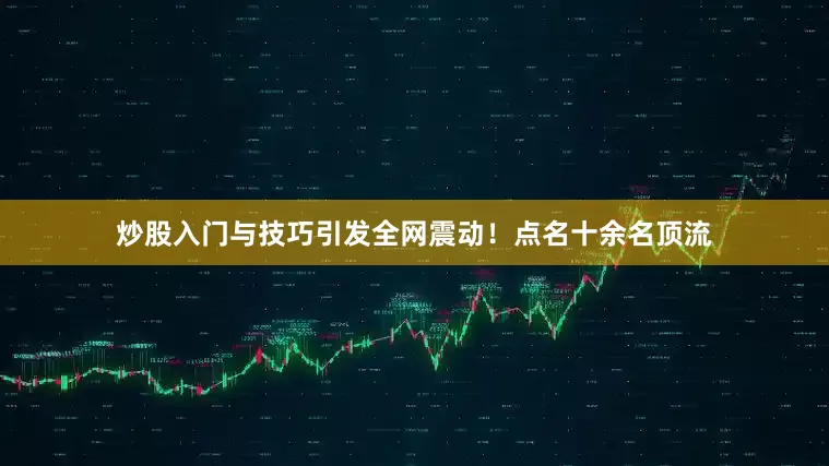 炒股入门与技巧引发全网震动！点名十余名顶流