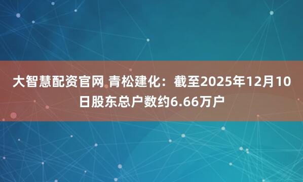 大智慧配资官网 青松建化：截至2025年12月10日股东总户数约6.66万户